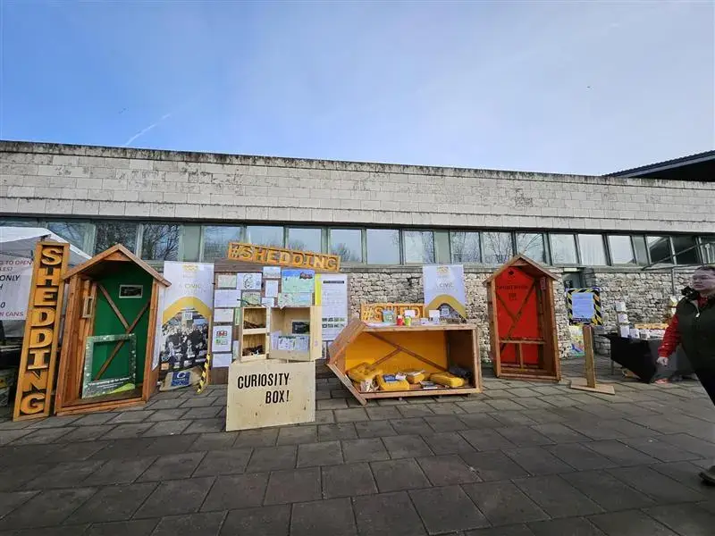 Three colourful shed-shaped booths with open doors display books and items outside a modern stone building. A sign reads “SHEDDING”, and a box labelled “CURIOSITY BOX!” is in front. A person walks by on the right.